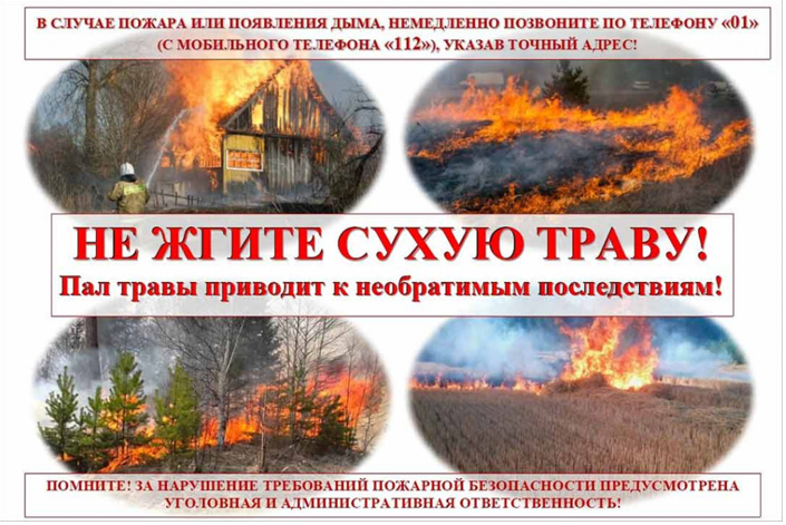 Правила пожарной безопасности в пожароопасный период.