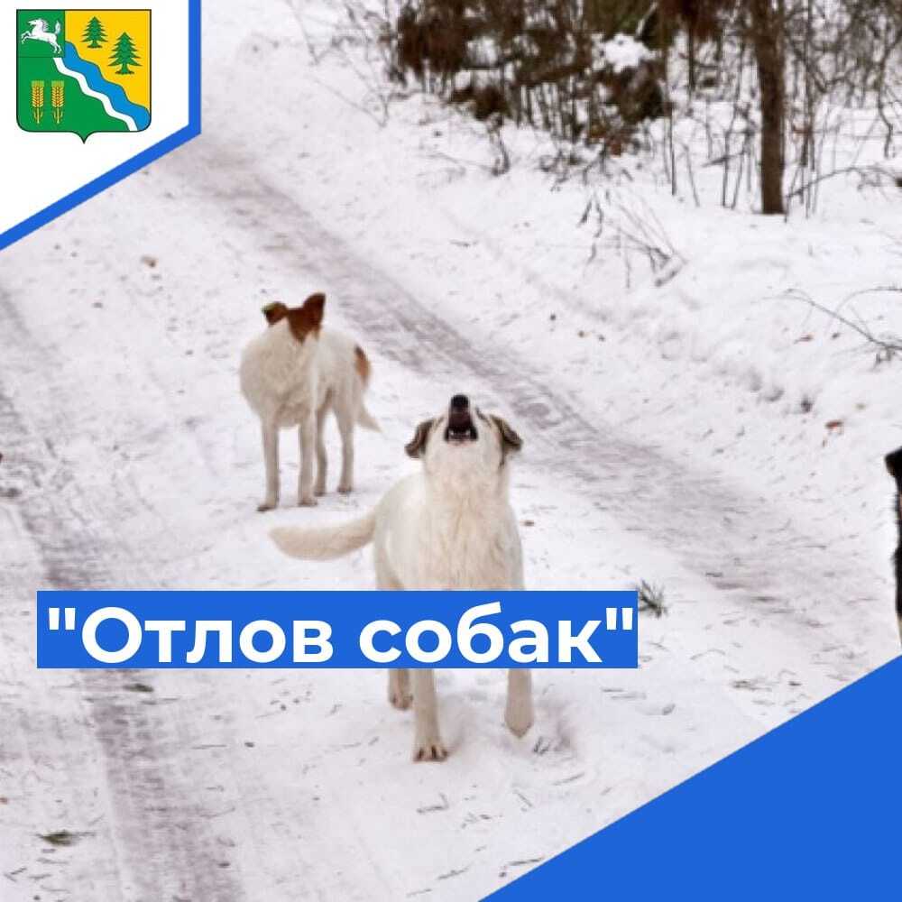 Администрация Кривошеинского района заключила муниципальный контракт....