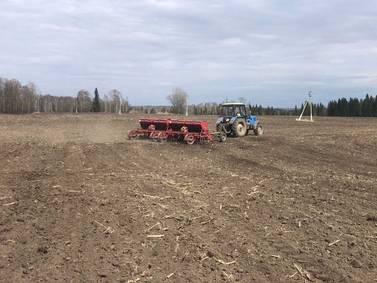 посев ячменя.